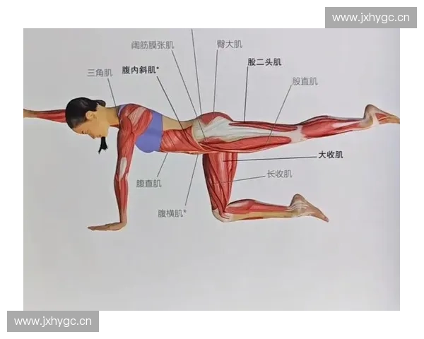 训练辅助腰绳助力核心力量提升与运动姿态优化方案