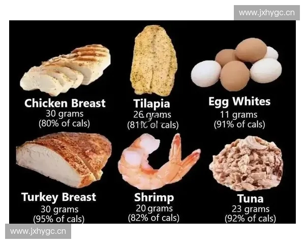 运动营养科学指导与日常膳食优化策略全面解析 运动营养科学指导与日常膳食优化策略全面解析
